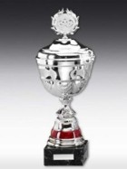 Pokal